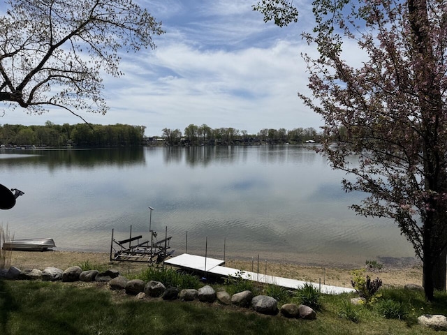 47463 Lakeview Dr, Lawrence, MI 49064 - water view with a boat dock