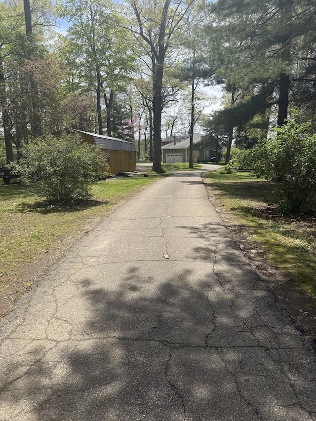 47463 Lakeview Dr, Lawrence, MI 49064 - view of asphalt road