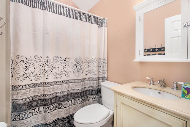 47463 Lakeview Dr, Lawrence, MI 49064 - bathroom with toilet, vanity, and a shower with curtain