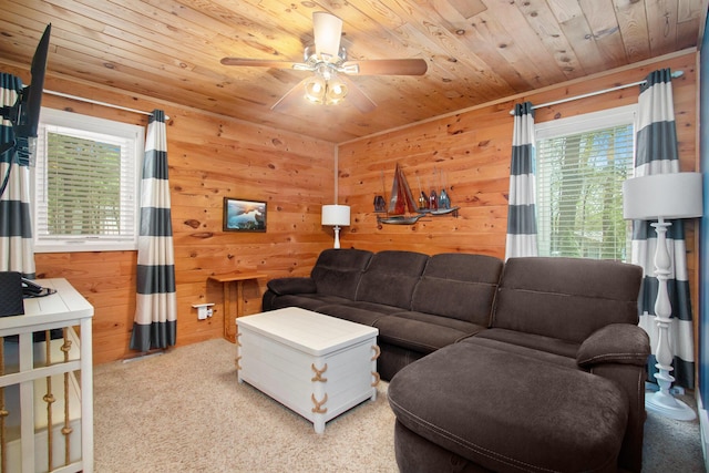 47463 Lakeview Dr, Lawrence, MI 49064 - living area with wooden ceiling, healthy amount of natural light, a ceiling fan, carpet floors, and wooden walls