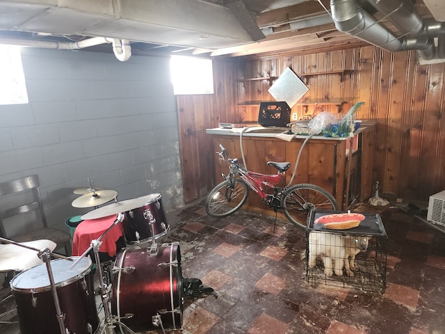 basement with concrete block wall and wooden walls