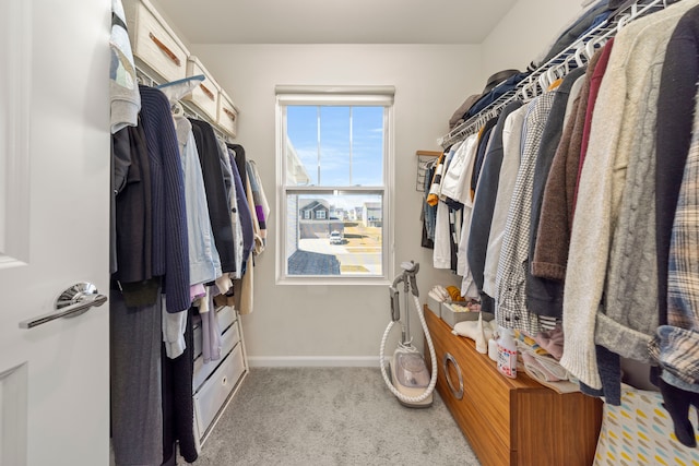 spacious closet with carpet