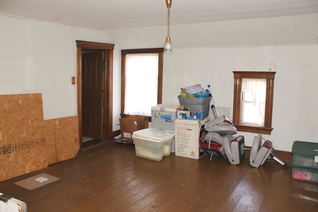 interior space with lofted ceiling and hardwood / wood-style flooring
