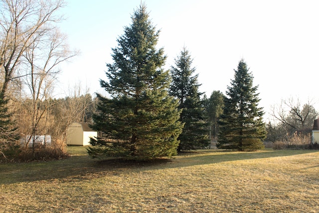 view of yard with an outdoor structure and a shed