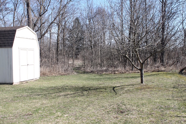 view of yard featuring an outbuilding and a storage unit
