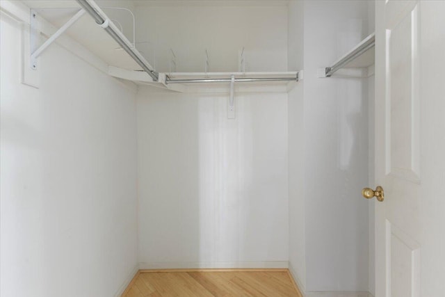 walk in closet featuring light wood-type flooring