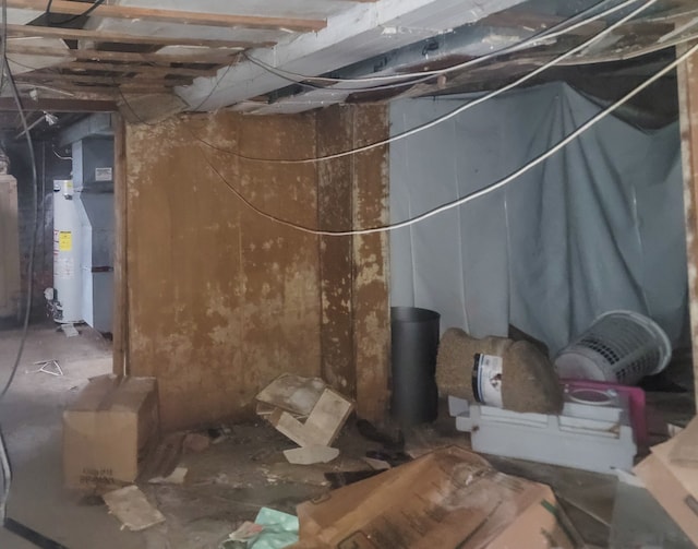 2251 Cortland St, Detroit, MI 48206 - unfinished basement featuring water heater