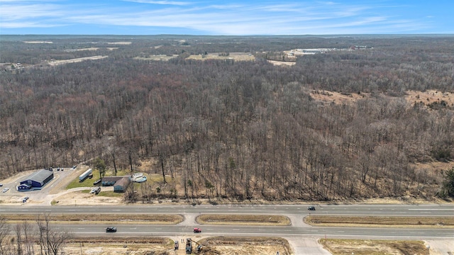 10172 US Highway 12, New Buffalo, MI 49117 - bird's eye view with a wooded view