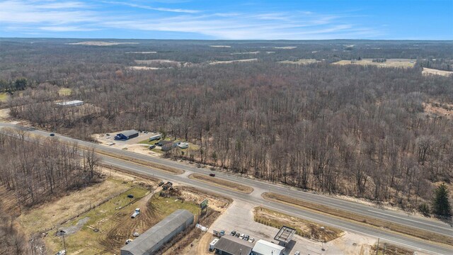 10172 US Highway 12, New Buffalo, MI 49117 - bird's eye view with a view of trees