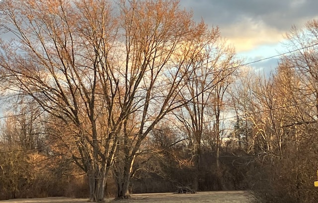 4342 E Court St, Burton, MI 48509 - view of nature