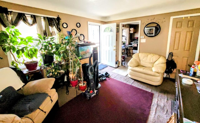 living room with wood finished floors