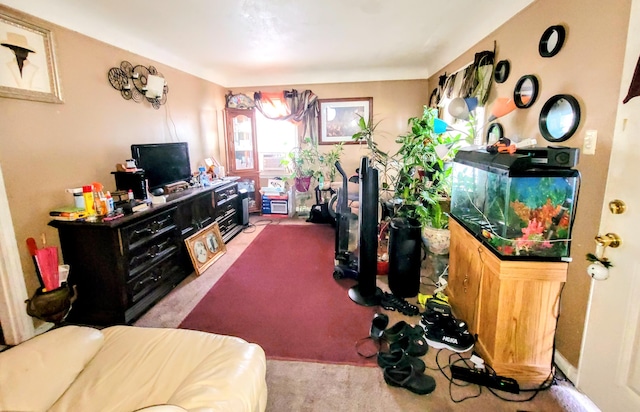 interior space with carpet