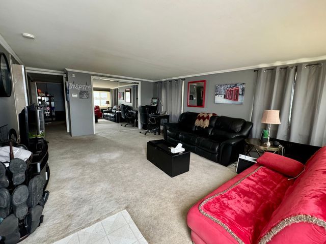147 S Water St, Marine City, MI 48039 - living area with carpet and ornamental molding
