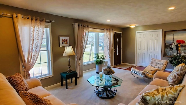 5393 Blaine Ave SE, Grand Rapids, MI 49508 - living room with recessed lighting and baseboards