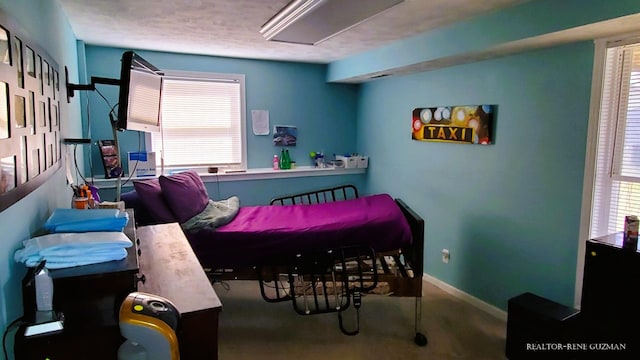 5393 Blaine Ave SE, Grand Rapids, MI 49508 - bedroom with carpet flooring and baseboards