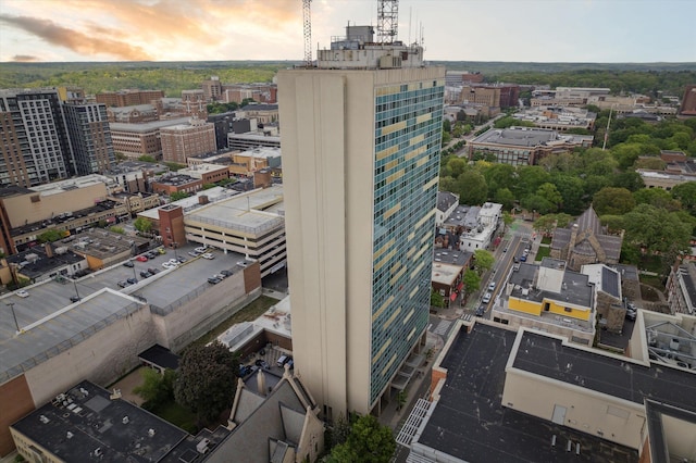 555 E William St, Ann Arbor, MI 48104 - view of city