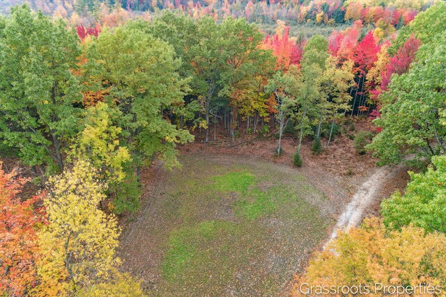2697 N 176th Ave, Walkerville, MI 49459 - photo 11