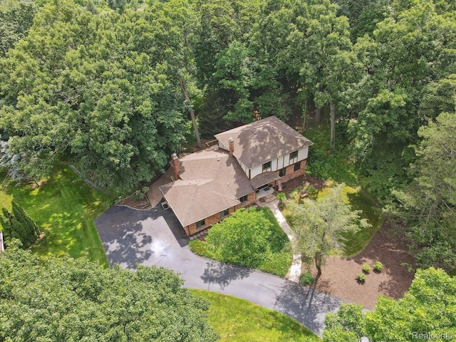 2915 Hillendale Dr, Rochester Hills, MI 48309 - view from above of property