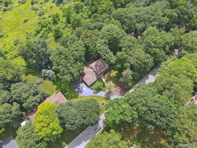2915 Hillendale Dr, Rochester Hills, MI 48309 - aerial view of property's location