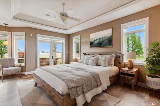 8650 Stone Rd, Maybee, MI 48159 - bedroom with a tray ceiling, access to exterior, multiple windows, and light wood-style floors