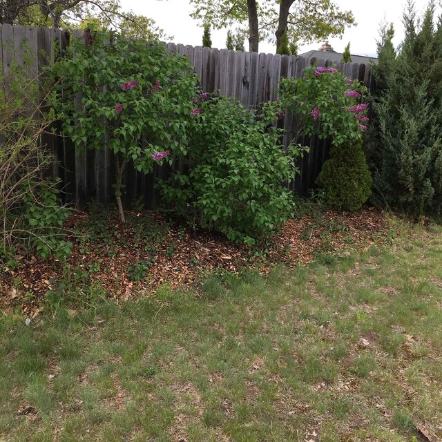 1259 N US-23, East Tawas, MI 48730 - photo 11