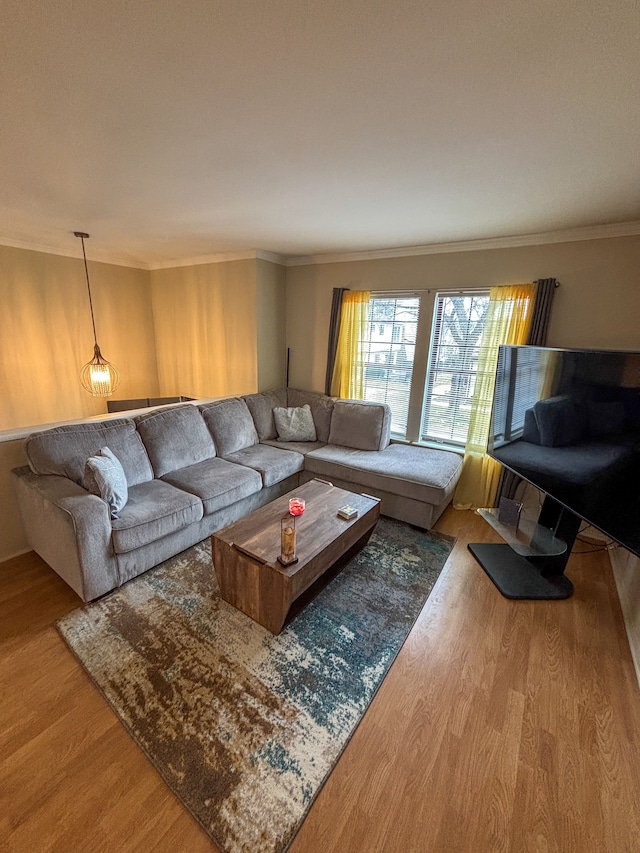 living area featuring ornamental molding and wood finished floors