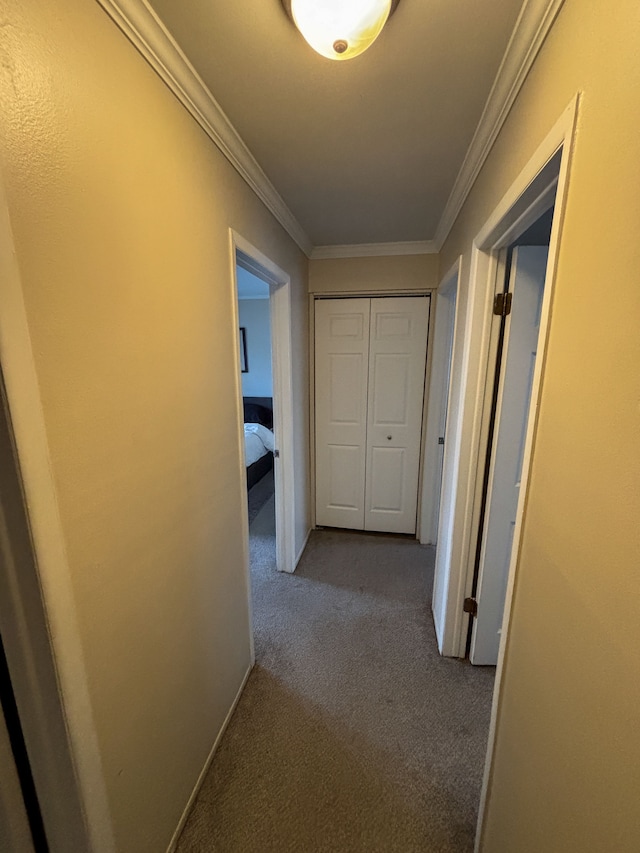 hallway featuring ornamental molding and carpet flooring