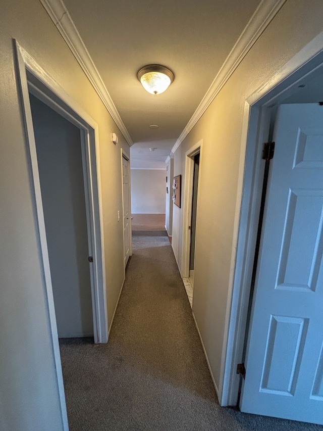 hallway featuring carpet flooring and ornamental molding