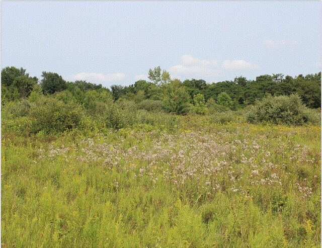 Listing photo 2 for 0 Brown City Rd, Imlay City MI 48444
