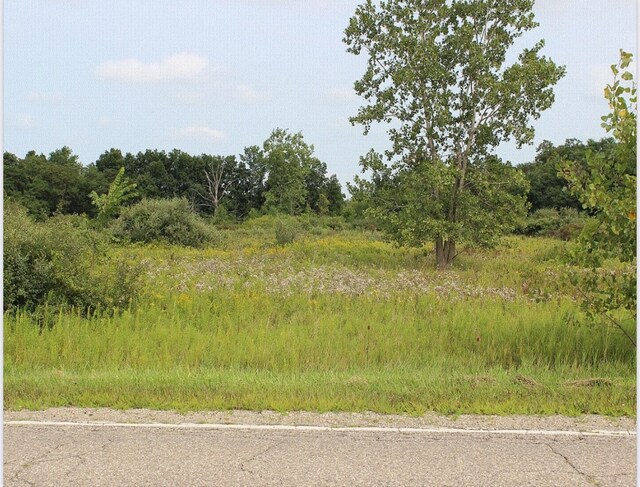 0 Brown City Rd, Imlay City MI, 48444 land for sale