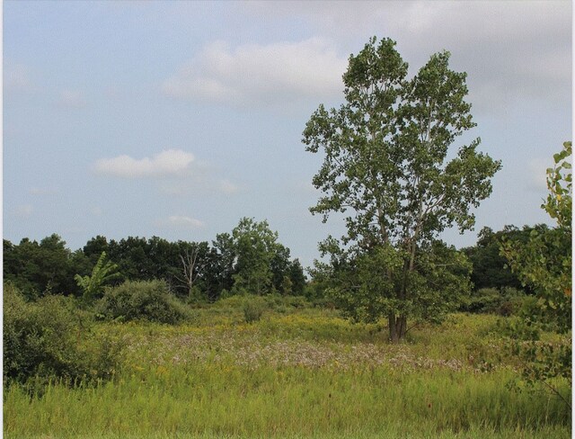Listing photo 3 for 0 Brown City Rd, Imlay City MI 48444