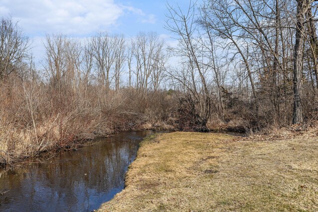 10541 S Jackson Rd, Cement City, MI 49233 - view of water feature