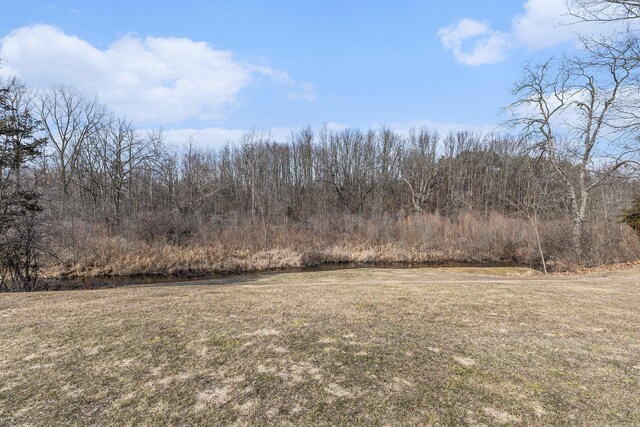 10541 S Jackson Rd, Cement City, MI 49233 - view of landscape