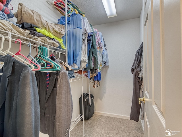 walk in closet featuring carpet flooring