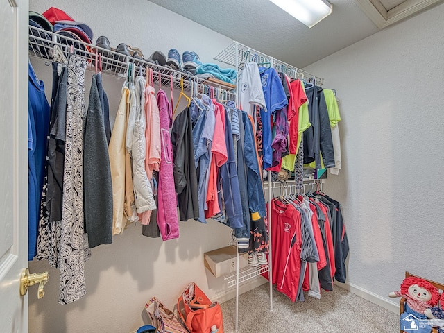 spacious closet featuring attic access and carpet floors