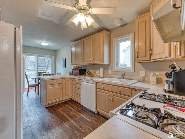 kitchen with white appliances, light brown cabinets, range hood, and a sink