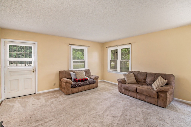 12225 Miller Rd, Grand Blanc, MI 48449 - living area featuring baseboards, carpet floors, and a textured ceiling