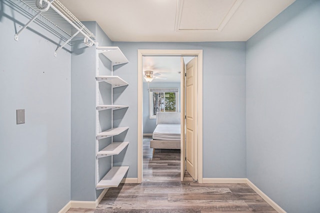 spacious closet featuring a ceiling fan and wood finished floors