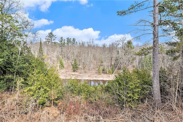 view of local wilderness featuring a water view and a forest view