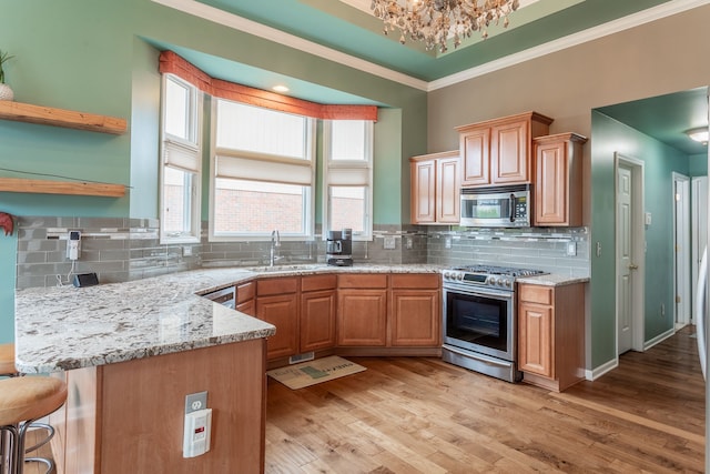kitchen featuring light wood finished floors, a sink, backsplash, and appliances with stainless steel finishes