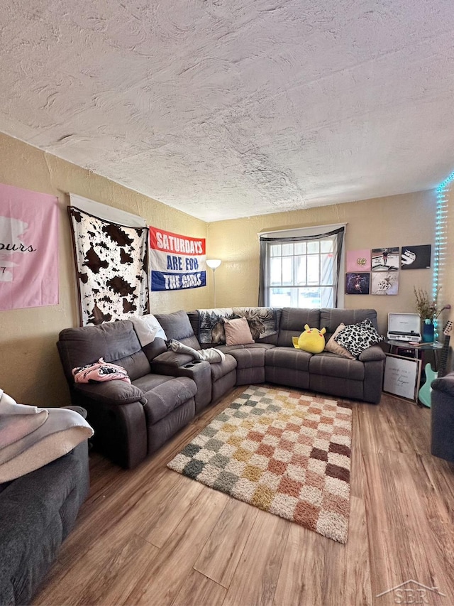 639 N Center St, Sebewaing, MI 48759 - living room featuring a textured ceiling and wood finished floors