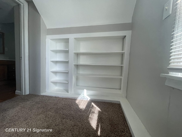 spacious closet featuring carpet flooring