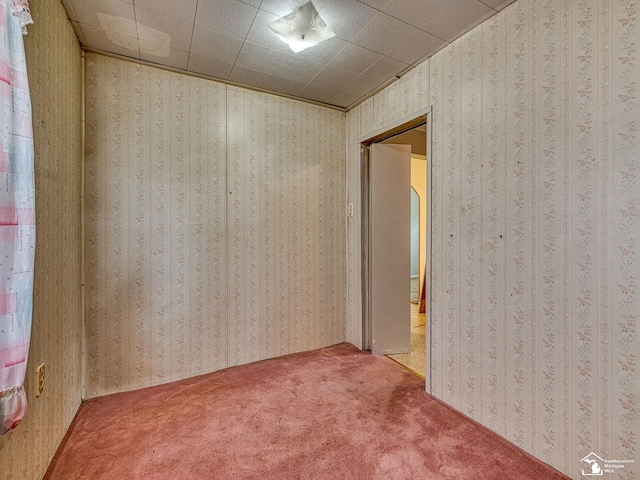 20212 Northline Rd, Taylor, MI 48180 - carpeted empty room featuring wallpapered walls