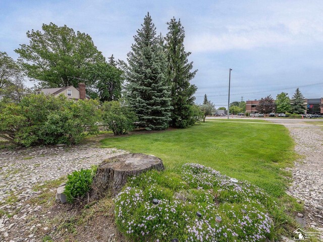 20212 Northline Rd, Taylor, MI 48180 - view of grassy yard
