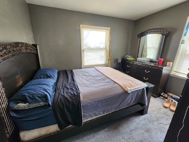 19169 Avon Ave, Detroit, MI 48219 - photo 20