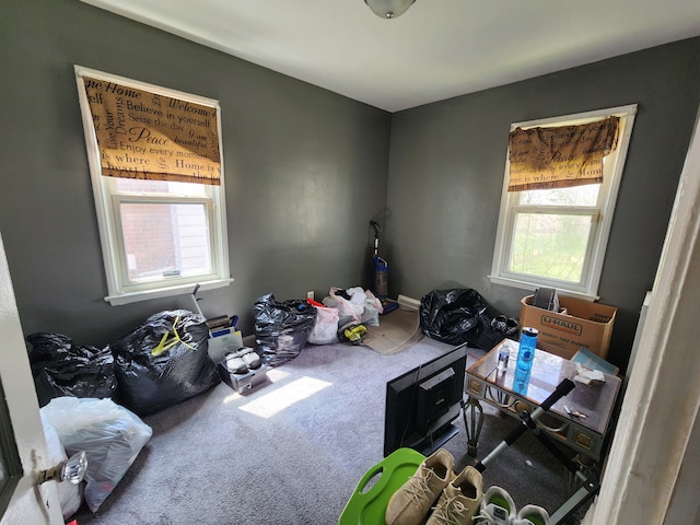 19169 Avon Ave, Detroit, MI 48219 - photo 28