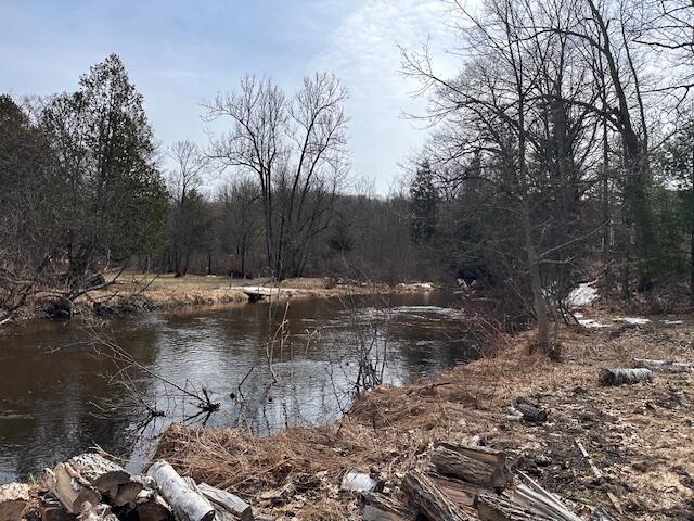 8034 N Johnson Rd, Irons, MI 49644 - property view of water featuring a forest view