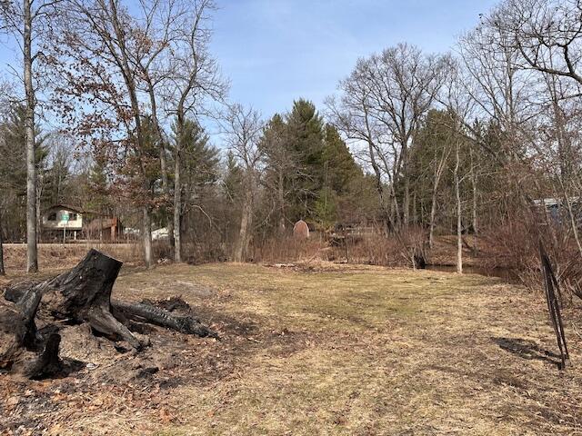 8034 N Johnson Rd, Irons, MI 49644 - view of yard