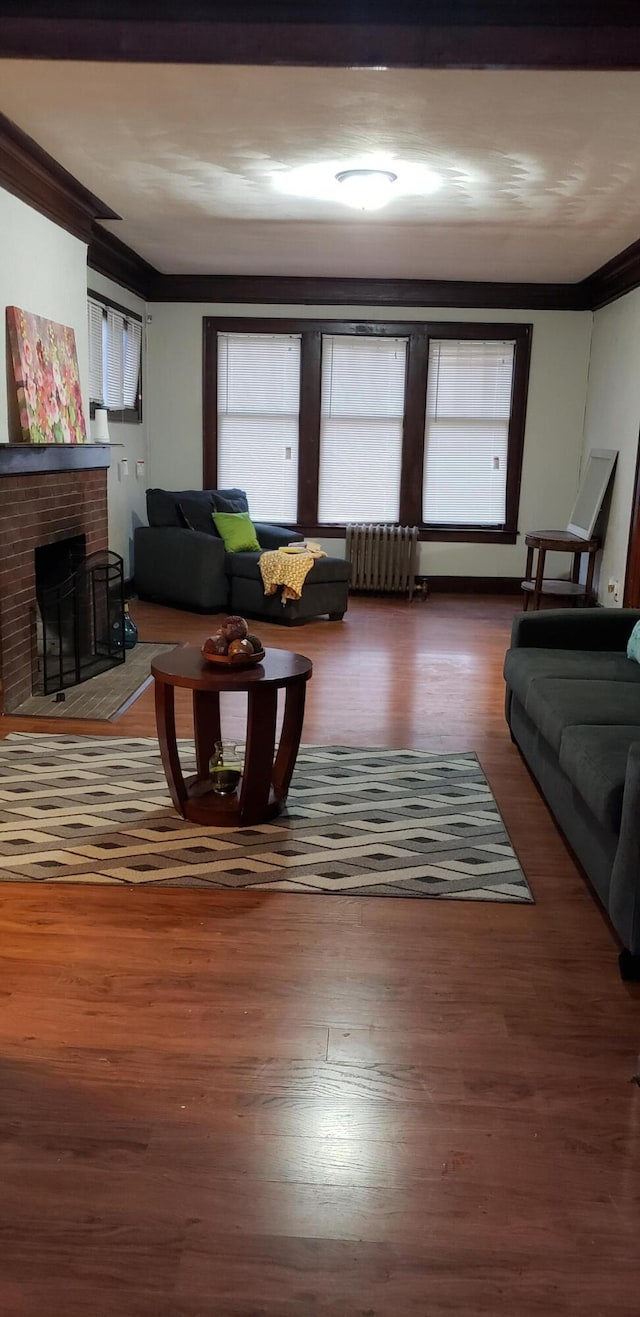 1139 Atkinson St, Detroit, MI 48202 - living area with healthy amount of natural light, crown molding, radiator, and wood finished floors