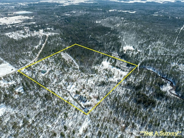 drone / aerial view